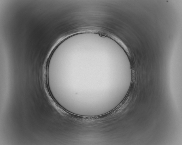X0000116351099200912011033