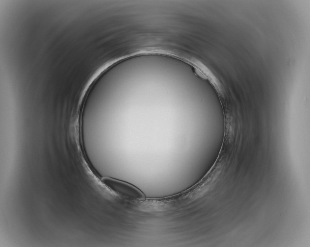 X0000116351100200912011033