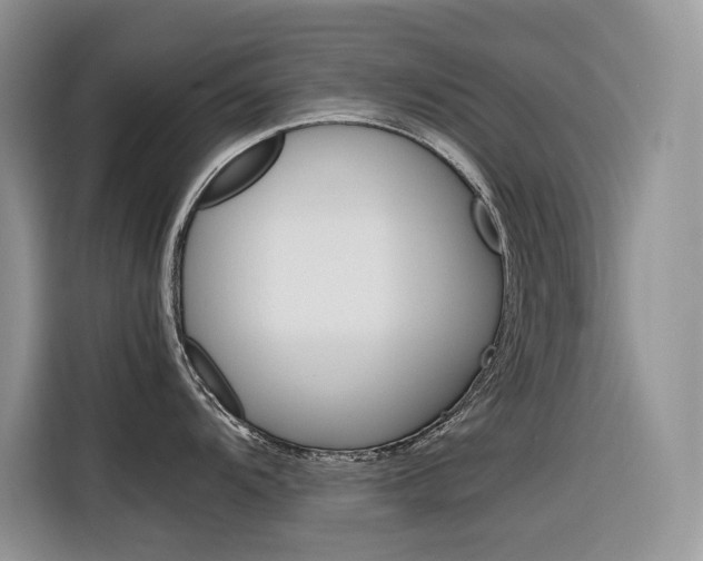 X0000116351104200912011033