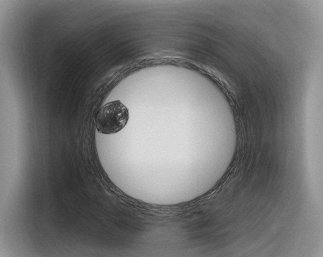 X0000116351110200912011033