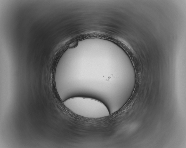 X0000116351111200912011033