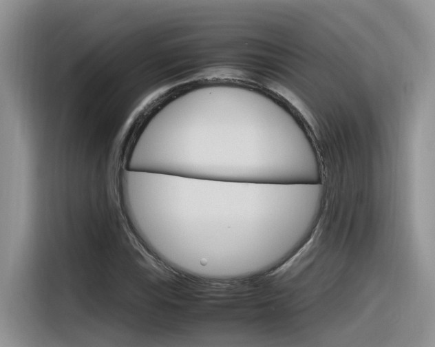 X0000116351115200912011033
