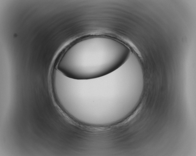 X0000116351122200912011033