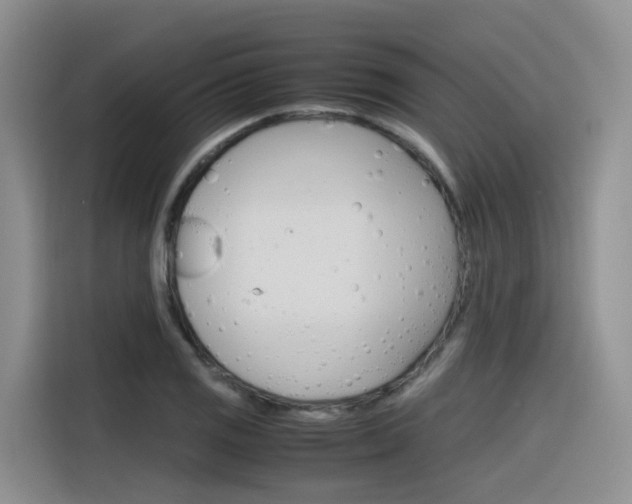 X0000116351125200912011033