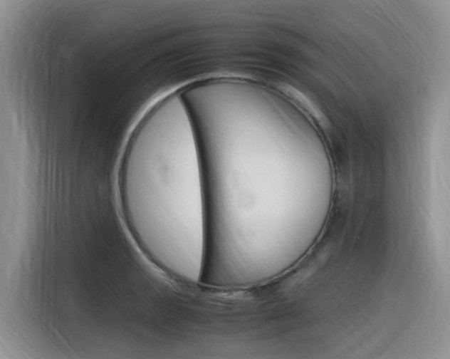 X0000116351133200912011033