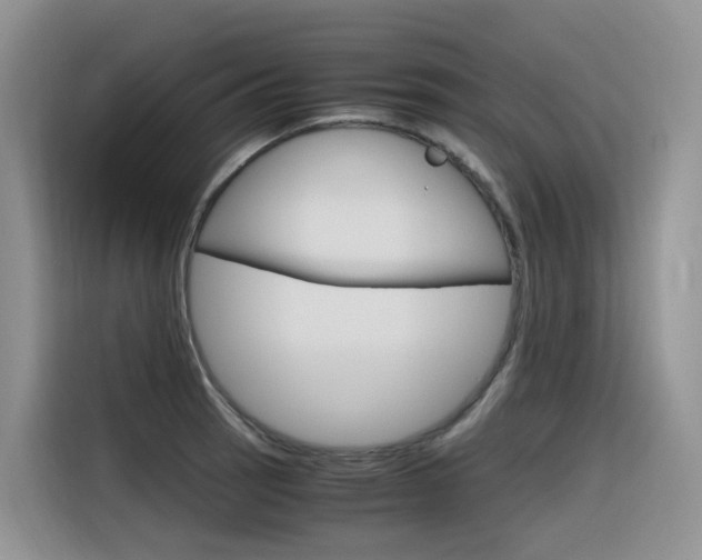 X0000116351137200912011033
