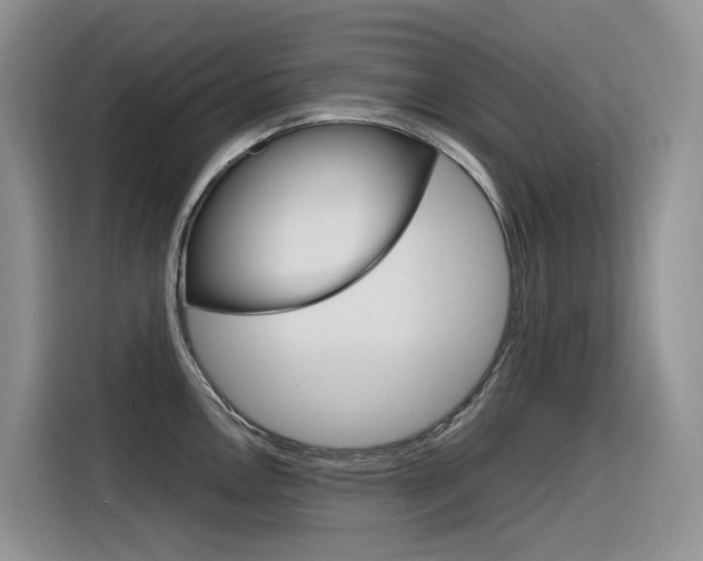 X0000116351146200912011033