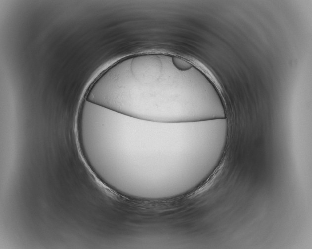 X0000116351149200912011033