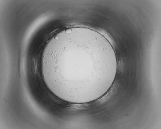 X0000116351150200912011033