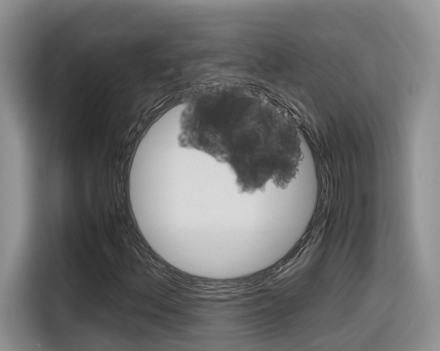 X0000116351156200912011032