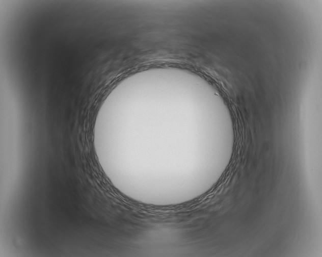 X0000116351157200912011032