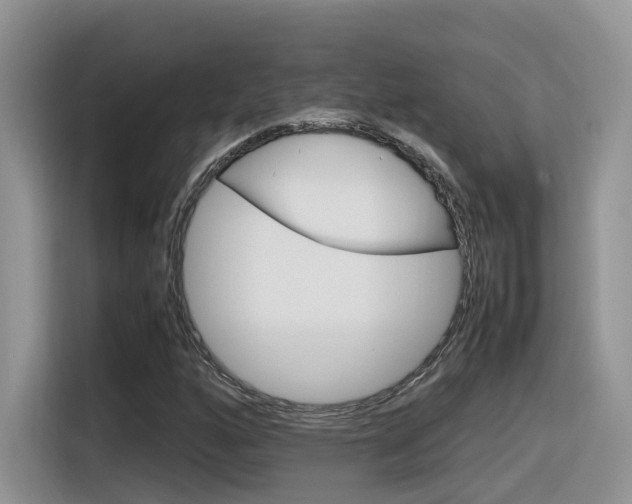 X0000116351160200912011032