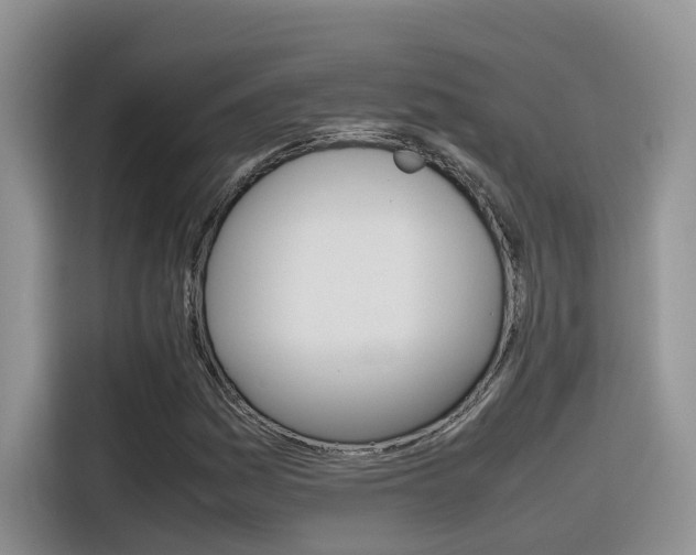 X0000116351161200912011032