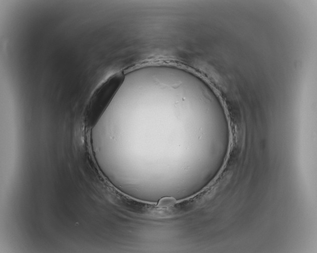 X0000116351165200912011032