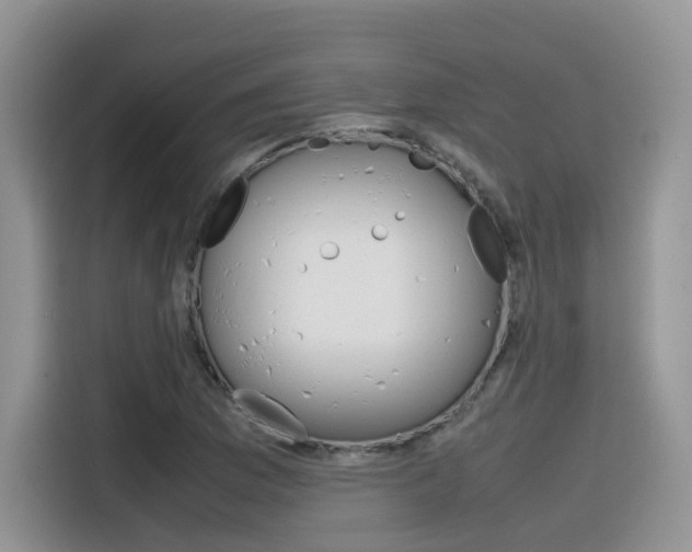 X0000116351169200912011032