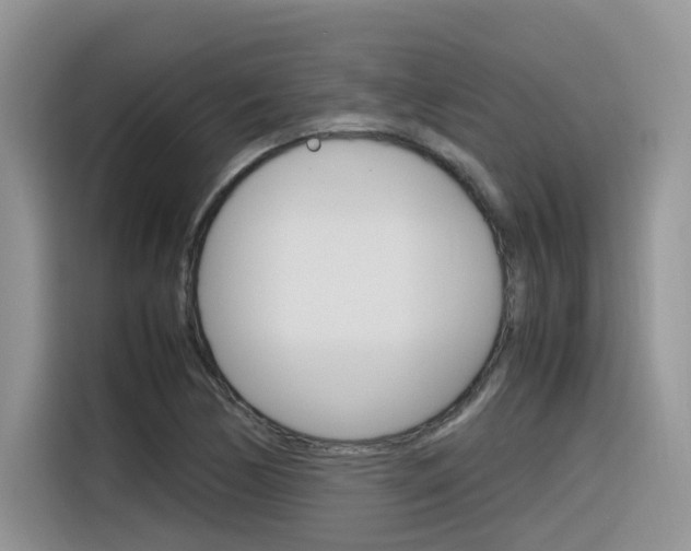 X0000116351170200912011032