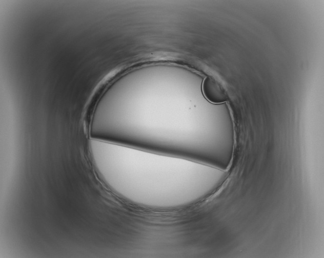 X0000116351171200912011032