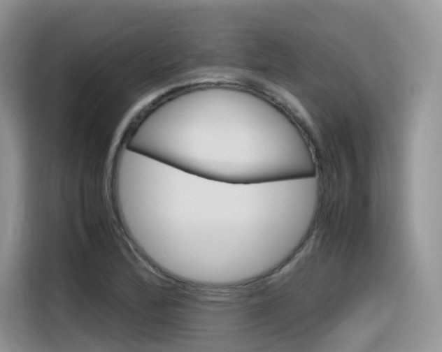 X0000116351172200912011032