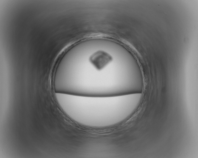 X0000116351173200912011032