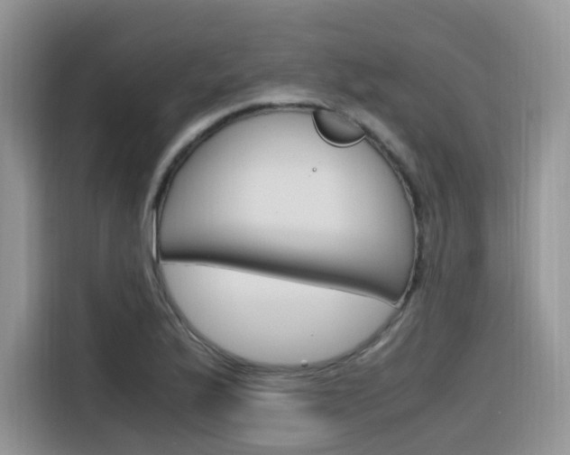 X0000116351175200912011032