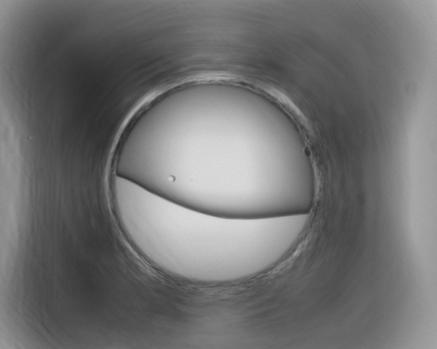 X0000116351181200912011032