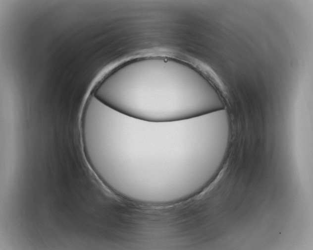 X0000116351184200912011032