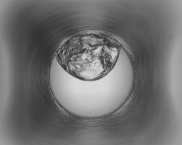 X0000116351185200912011032