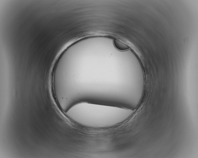 X0000116351187200912011032