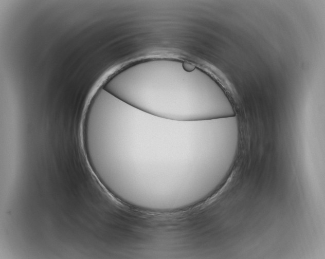 X0000116351188200912011032
