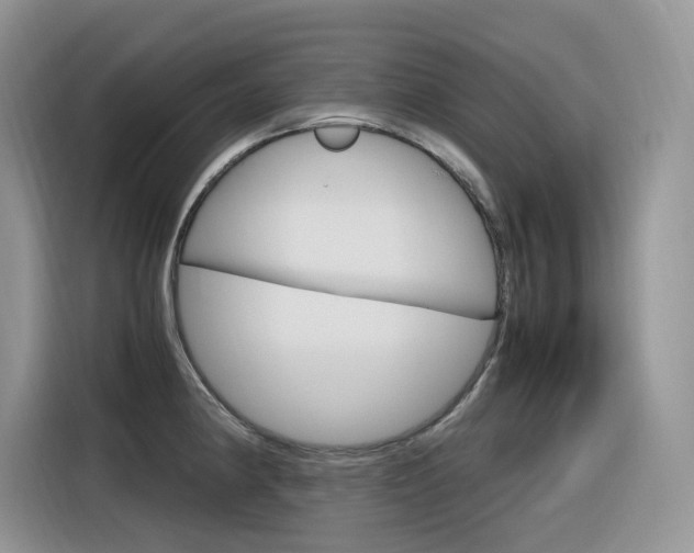 X0000116351190200912011032