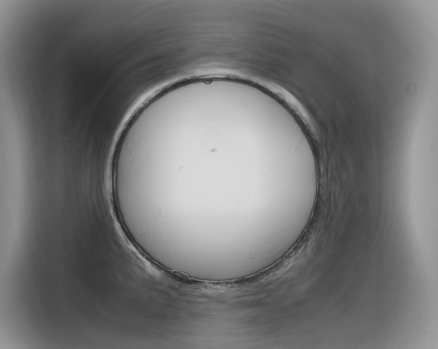 X0000116351191200912011032