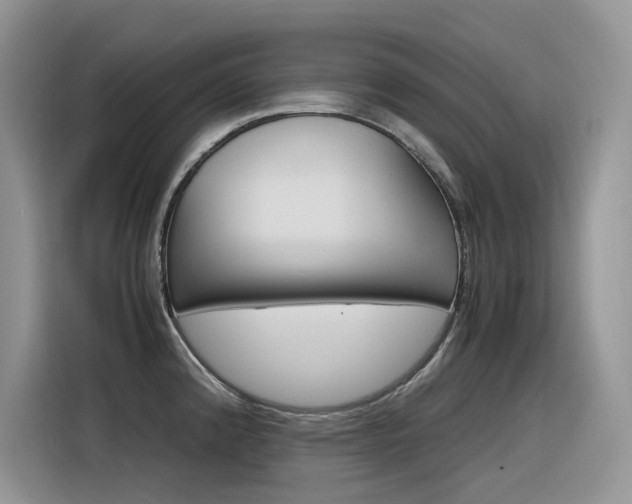 X0000116351192200912011032