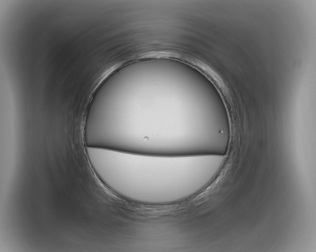 X0000116351193200912011032