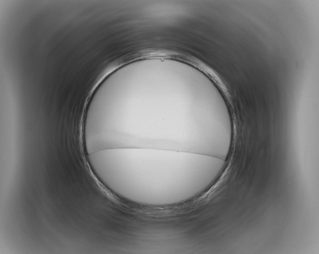 X0000116351194200912011032