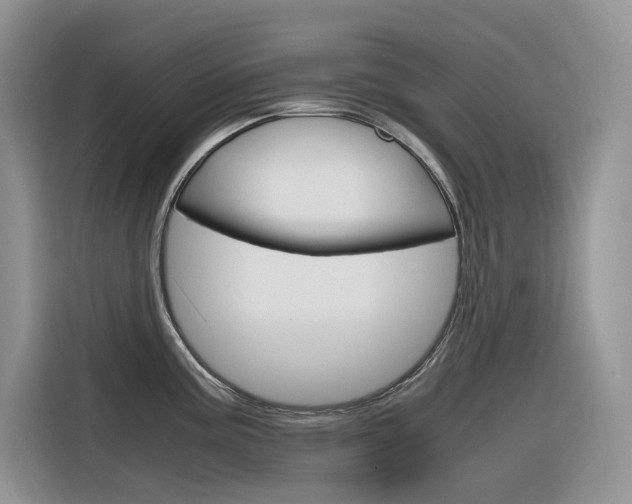 X0000116351195200912011032