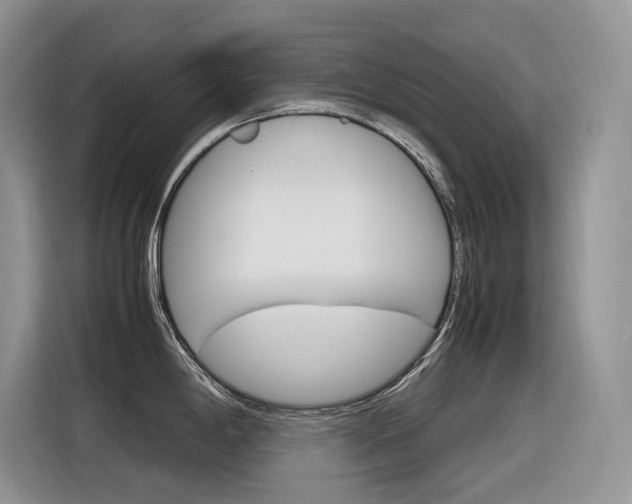 X0000116351198200912011032