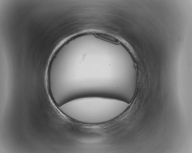 X0000116351199200912011032