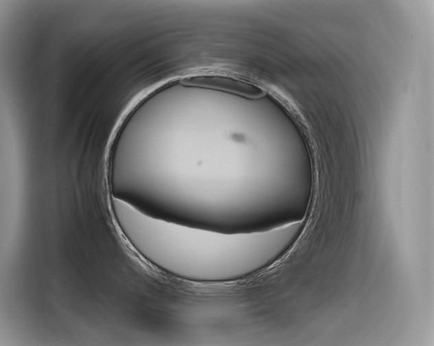 X0000116351200200912011032