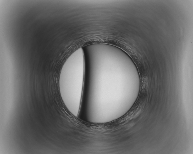 X0000116351202200912011031