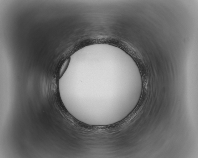 X0000116351204200912011031