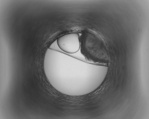 X0000116351205200912011031