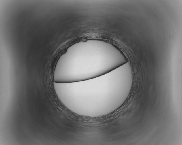 X0000116351206200912011031