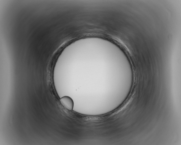 X0000116351211200912011031
