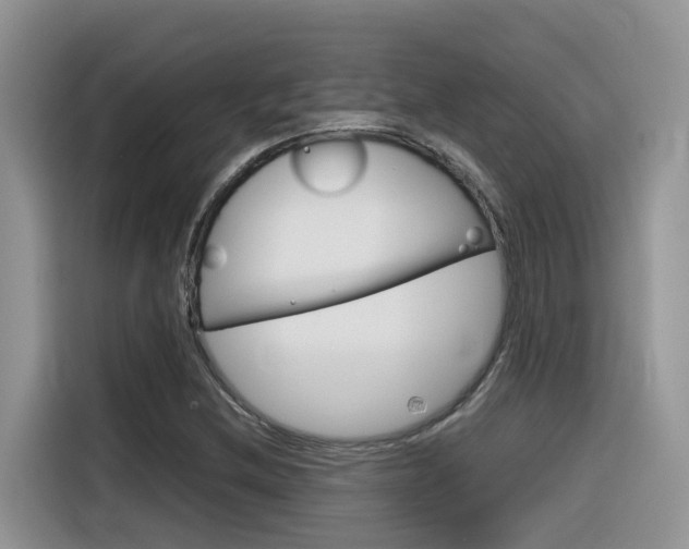 X0000116351212200912011031