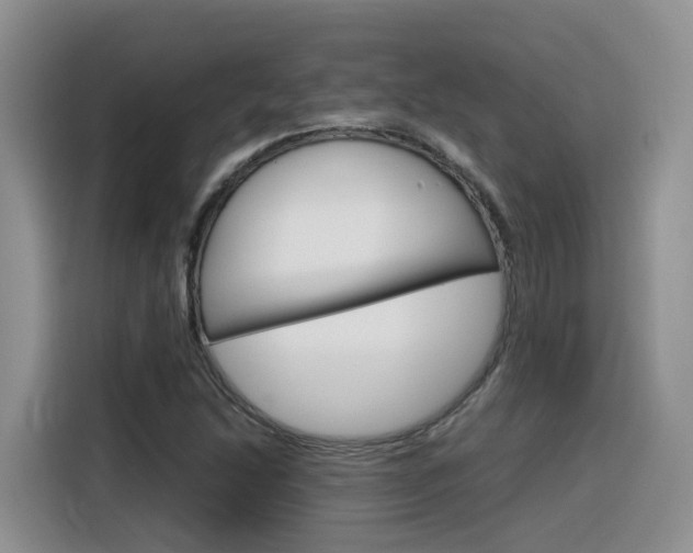 X0000116351214200912011031