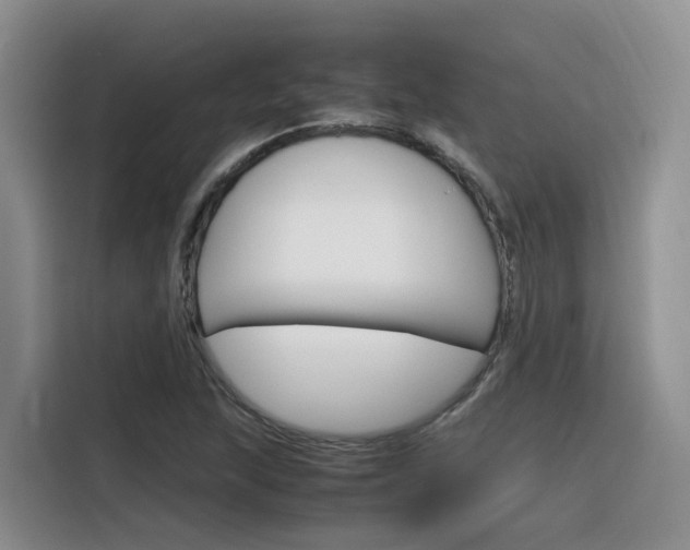 X0000116351215200912011031