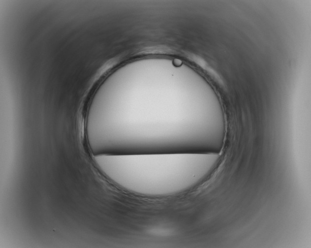 X0000116351221200912011032