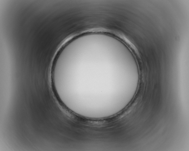 X0000116351229200912011032