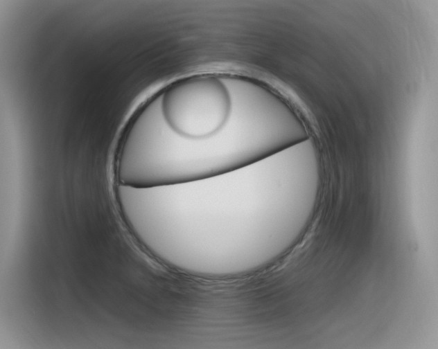 X0000116351230200912011032