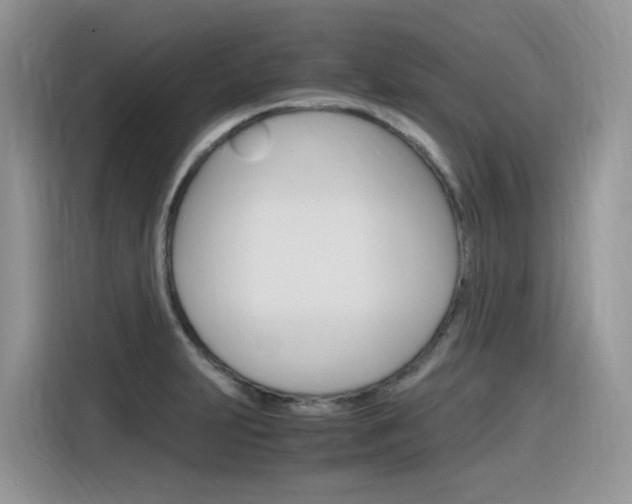 X0000116351231200912011032